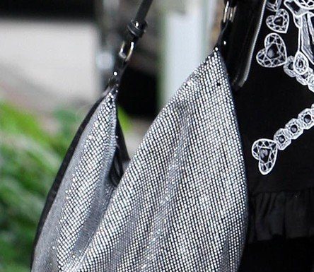 Geanta Hobo la moda printre vedete