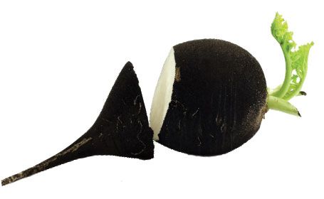 Cura cu suc de ridiche neagra – Beneficii