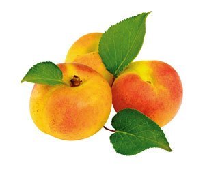 Caisa – Calorii si Vitamine