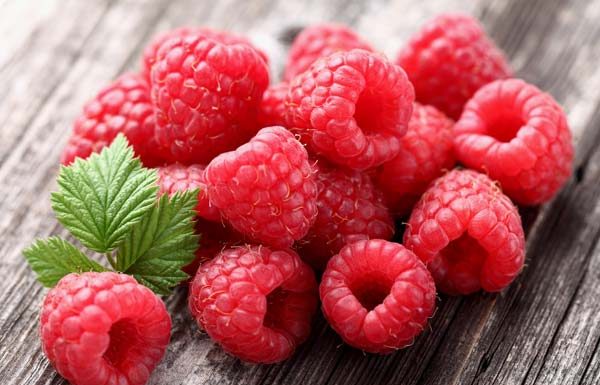 Zmeura – beneficii pentru sănătate