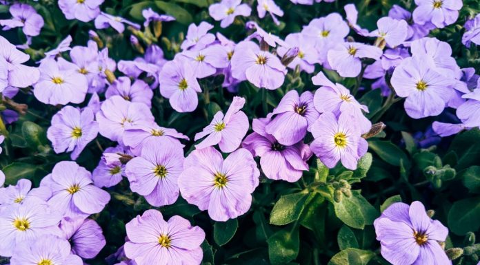 166 Mesaje De Multumire