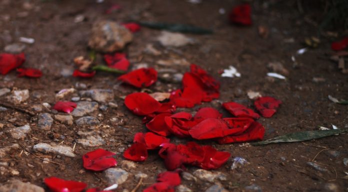 179 Mesaje De Condoleante