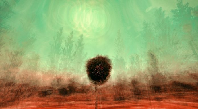 184 Citate Despre Fericire Citate frumoase