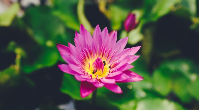 265 Citate Scurte scurte pentru un inceput de saptamana optimist