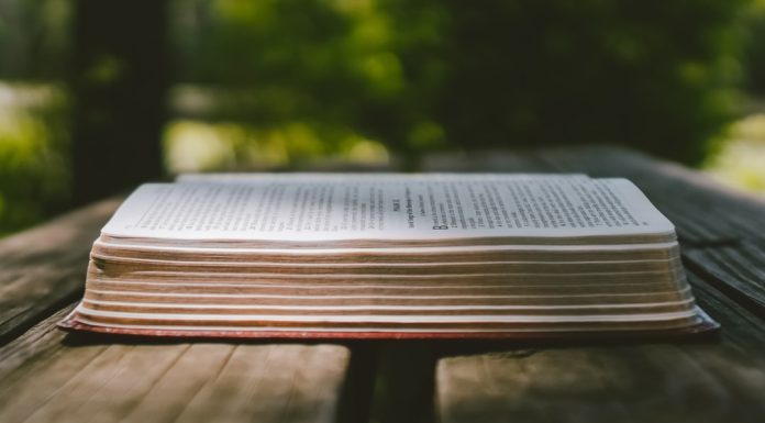 304 Citate Intelepte scurte pentru un inceput de saptamana optimist