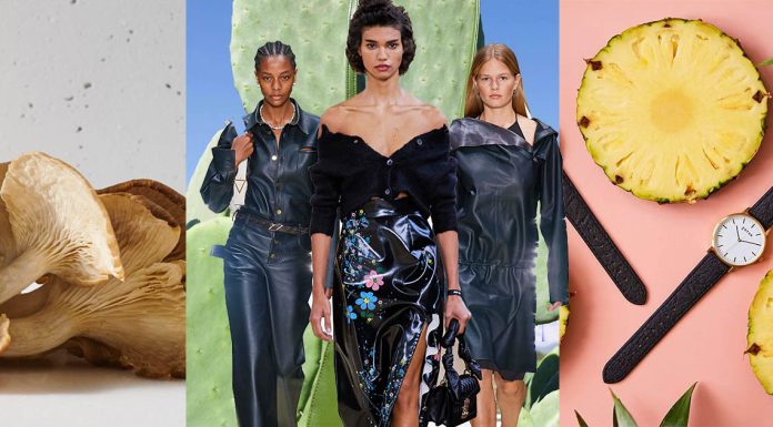 Acesta este motivul pentru care pielea Kelp este cea mai buna alternativa de piele vegana